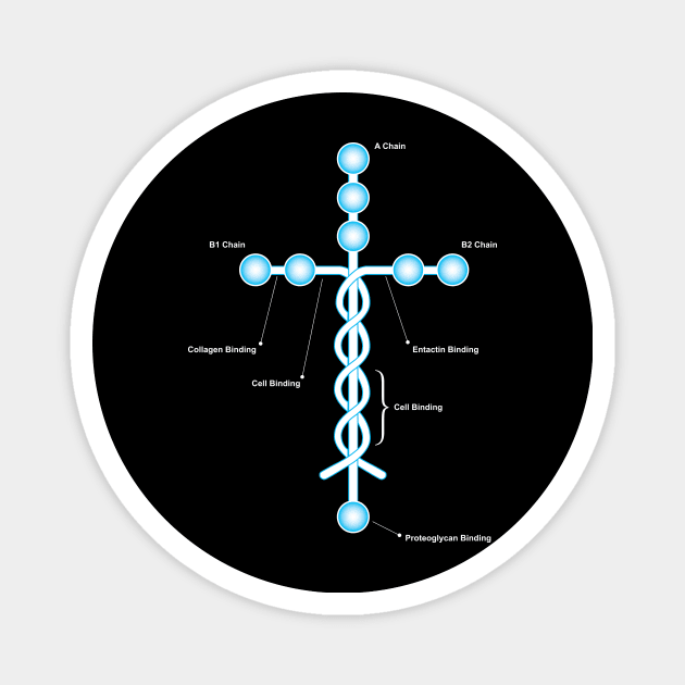 Laminin Christian Magnet by ManaWar